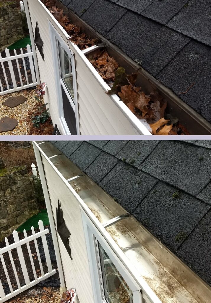 Gutter Cleaning Coldwater MS and Walls MS