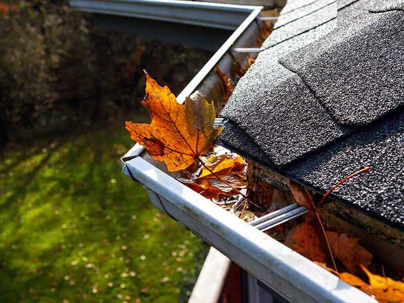 Essential Gutter Cleaning Horn Lake MS: Your Foundation's Best Friend